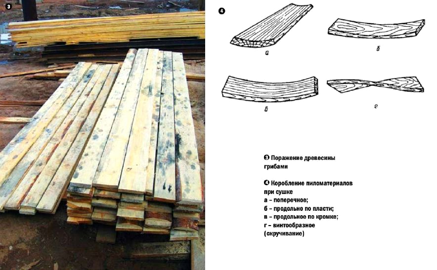 Возникновение дефектов при сушке древесины